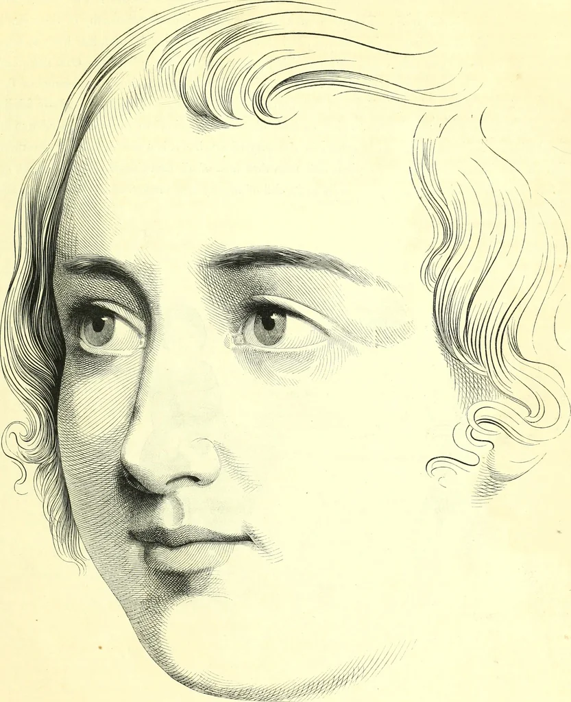 An illustration from The American drawing-book : a manual for the amateur, and basis of study for the professional artist : especially adapted to the use of public and private schools, as well as home instruction, 1847, leaf 58