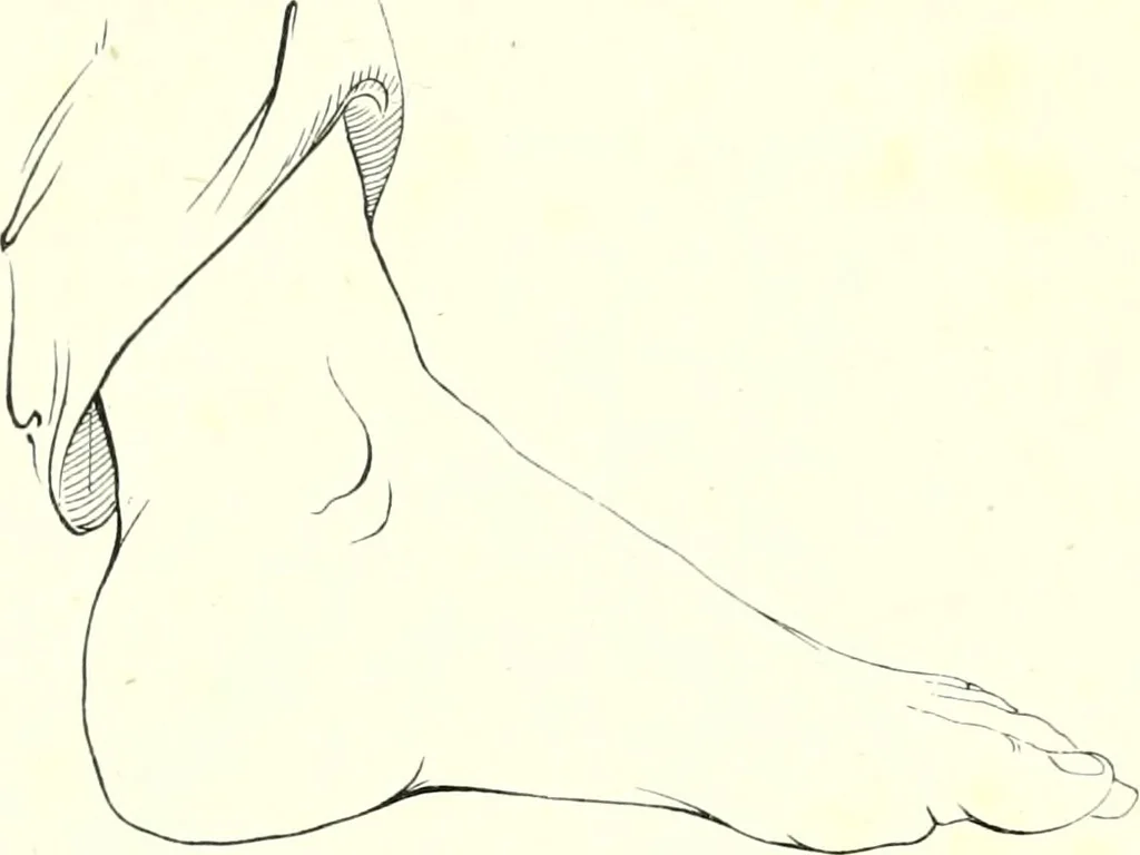 An illustration from The American drawing-book : a manual for the amateur, and basis of study for the professional artist : especially adapted to the use of public and private schools, as well as home instruction, 1847, leaf 11