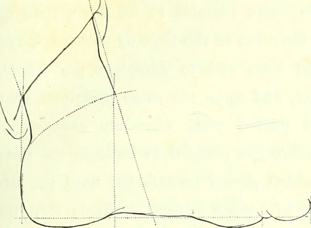 An illustration from The American drawing-book : a manual for the amateur, and basis of study for the professional artist : especially adapted to the use of public and private schools, as well as home instruction, 1847, leaf 12