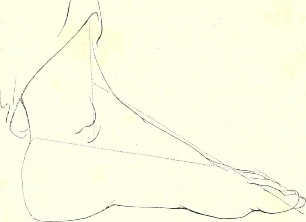 An illustration from The American drawing-book : a manual for the amateur, and basis of study for the professional artist : especially adapted to the use of public and private schools, as well as home instruction, 1847, leaf 13