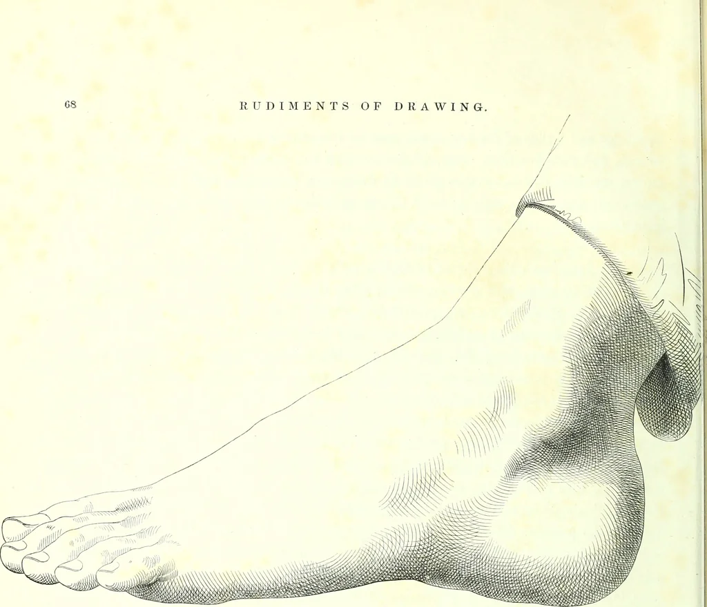 An illustration from The American drawing-book : a manual for the amateur, and basis of study for the professional artist : especially adapted to the use of public and private schools, as well as home instruction, 1847, leaf 15