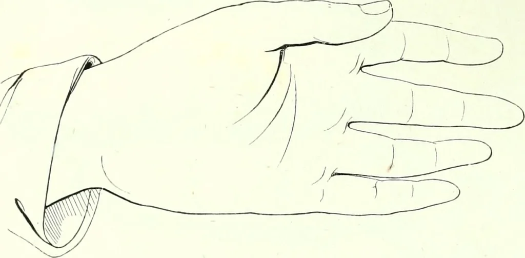 An illustration from The American drawing-book : a manual for the amateur, and basis of study for the professional artist : especially adapted to the use of public and private schools, as well as home instruction, 1847, leaf 25