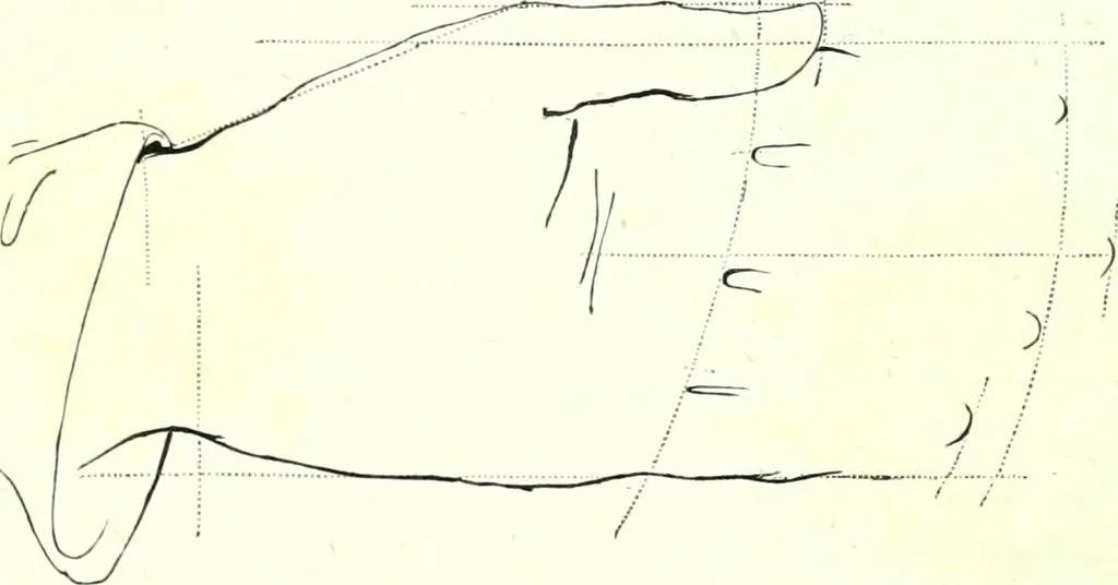 An illustration from The American drawing-book : a manual for the amateur, and basis of study for the professional artist : especially adapted to the use of public and private schools, as well as home instruction, 1847, leaf 25