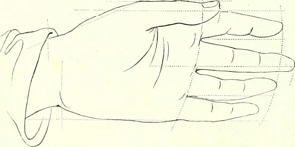 An illustration from The American drawing-book : a manual for the amateur, and basis of study for the professional artist : especially adapted to the use of public and private schools, as well as home instruction, 1847, leaf 25