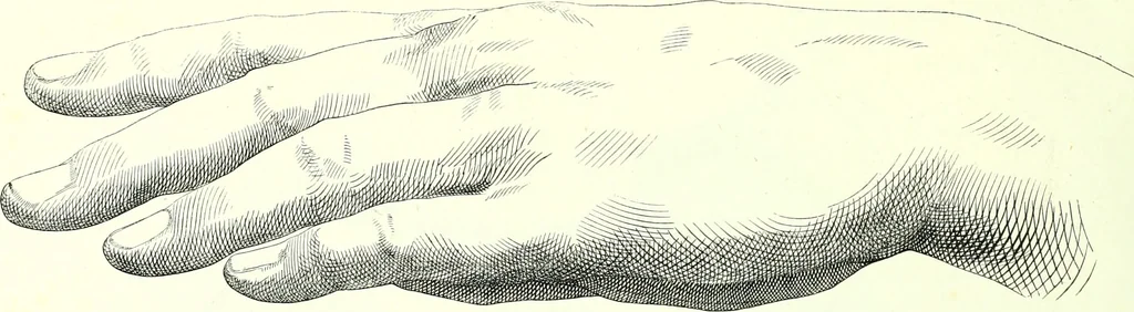 An illustration from The American drawing-book : a manual for the amateur, and basis of study for the professional artist : especially adapted to the use of public and private schools, as well as home instruction, 1847, leaf 29