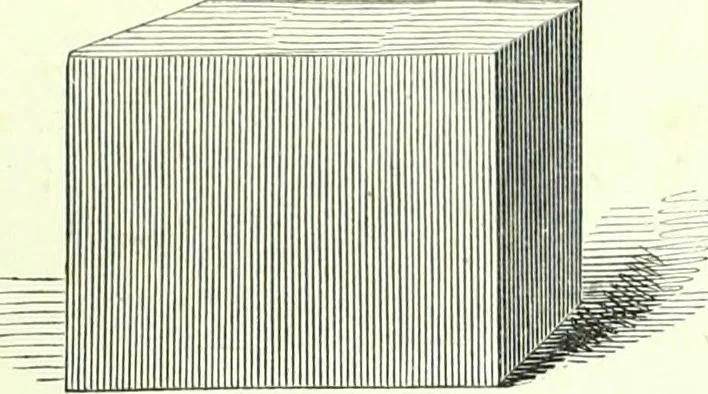 An illustration from The American drawing-book : a manual for the amateur, and basis of study for the professional artist : especially adapted to the use of public and private schools, as well as home instruction, 1847, leaf 40