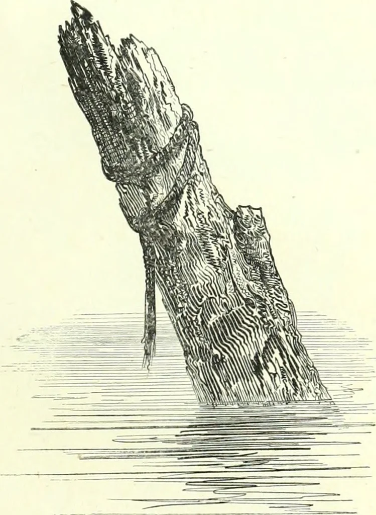 An illustration from The American drawing-book : a manual for the amateur, and basis of study for the professional artist : especially adapted to the use of public and private schools, as well as home instruction, 1847, leaf 40