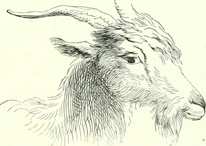 An illustration from The American drawing-book : a manual for the amateur, and basis of study for the professional artist : especially adapted to the use of public and private schools, as well as home instruction, 1847, leaf 41