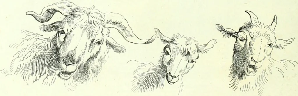 An illustration from The American drawing-book : a manual for the amateur, and basis of study for the professional artist : especially adapted to the use of public and private schools, as well as home instruction, 1847, leaf 41