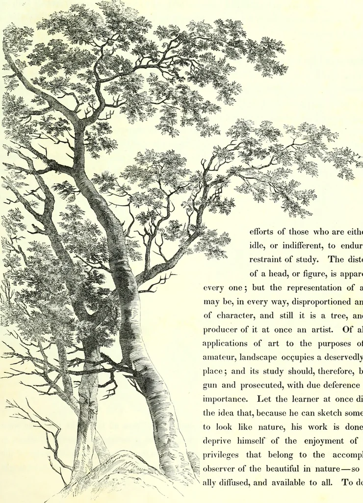 An illustration from The American drawing-book : a manual for the amateur, and basis of study for the professional artist : especially adapted to the use of public and private schools, as well as home instruction, 1847, leaf 46