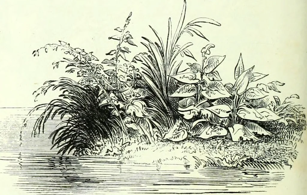 An illustration from The American drawing-book : a manual for the amateur, and basis of study for the professional artist : especially adapted to the use of public and private schools, as well as home instruction, 1847, leaf 47