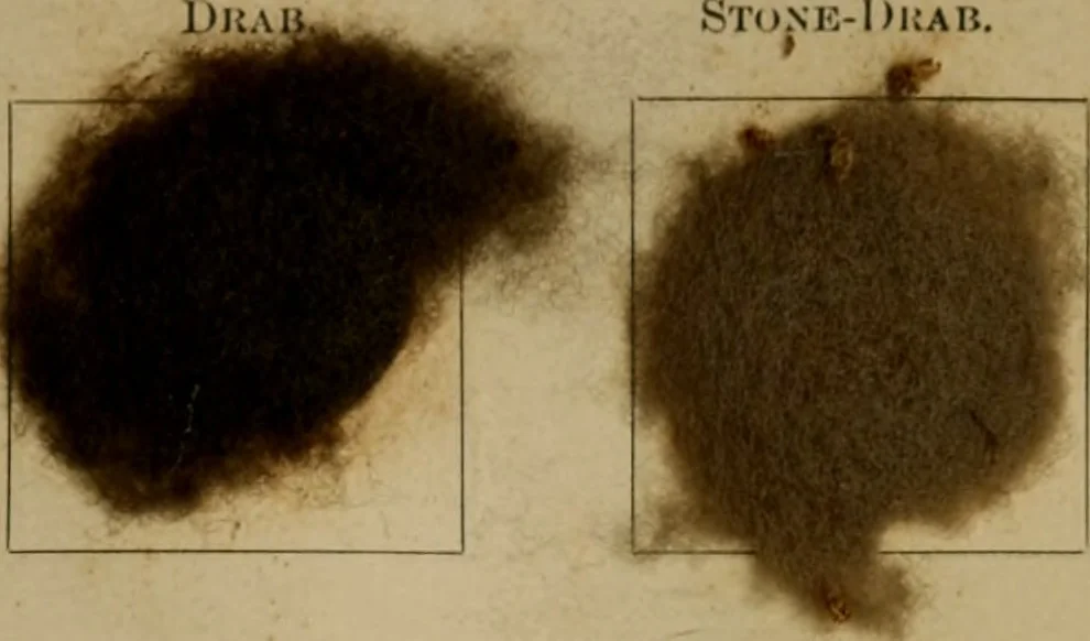 An illustration from The American dyer, (enlarged and revised) : a practical treatise on the coloring of wool, cotton, yarn and cloth, also, calico-printing ... containing seventy samples of wool, cotton yarn, and cloth; sample of black on raw cotton, colored at one operation; embracing, in all, over four hundred recipes, 1878, leaf 562