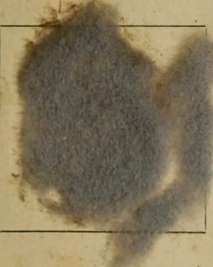 An illustration from The American dyer, (enlarged and revised) : a practical treatise on the coloring of wool, cotton, yarn and cloth, also, calico-printing ... containing seventy samples of wool, cotton yarn, and cloth; sample of black on raw cotton, colored at one operation; embracing, in all, over four hundred recipes, 1878, leaf 562