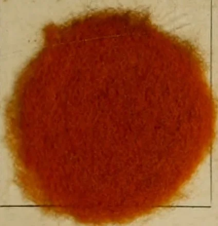 An illustration from The American dyer, (enlarged and revised) : a practical treatise on the coloring of wool, cotton, yarn and cloth, also, calico-printing ... containing seventy samples of wool, cotton yarn, and cloth; sample of black on raw cotton, colored at one operation; embracing, in all, over four hundred recipes, 1878, leaf 562