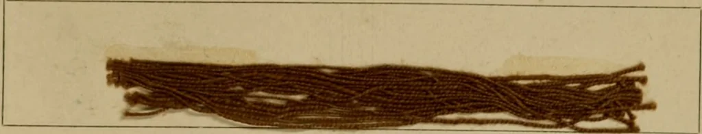 An illustration from The American dyer, (enlarged and revised) : a practical treatise on the coloring of wool, cotton, yarn and cloth, also, calico-printing ... containing seventy samples of wool, cotton yarn, and cloth; sample of black on raw cotton, colored at one operation; embracing, in all, over four hundred recipes, 1878, leaf 610