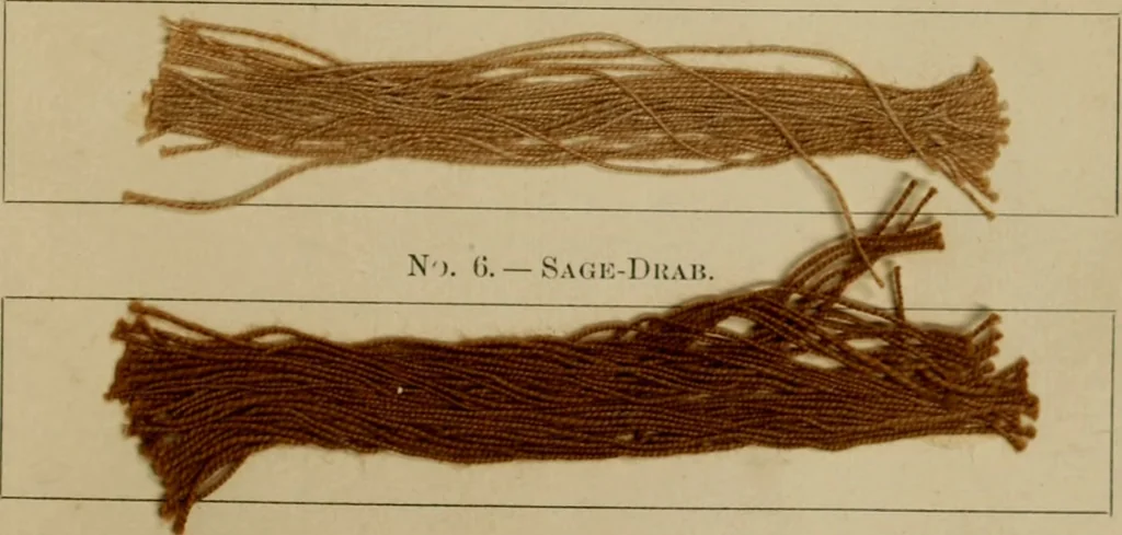 An illustration from The American dyer, (enlarged and revised) : a practical treatise on the coloring of wool, cotton, yarn and cloth, also, calico-printing ... containing seventy samples of wool, cotton yarn, and cloth; sample of black on raw cotton, colored at one operation; embracing, in all, over four hundred recipes, 1878, leaf 610
