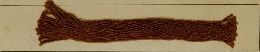 An illustration from The American dyer, (enlarged and revised) : a practical treatise on the coloring of wool, cotton, yarn and cloth, also, calico-printing ... containing seventy samples of wool, cotton yarn, and cloth; sample of black on raw cotton, colored at one operation; embracing, in all, over four hundred recipes, 1878, leaf 611
