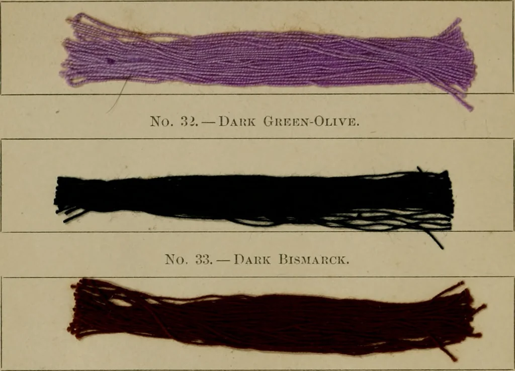 An illustration from The American dyer, (enlarged and revised) : a practical treatise on the coloring of wool, cotton, yarn and cloth, also, calico-printing ... containing seventy samples of wool, cotton yarn, and cloth; sample of black on raw cotton, colored at one operation; embracing, in all, over four hundred recipes, 1878, leaf 619