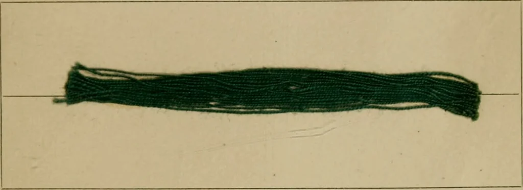 An illustration from The American dyer, (enlarged and revised) : a practical treatise on the coloring of wool, cotton, yarn and cloth, also, calico-printing ... containing seventy samples of wool, cotton yarn, and cloth; sample of black on raw cotton, colored at one operation; embracing, in all, over four hundred recipes, 1878, leaf 622