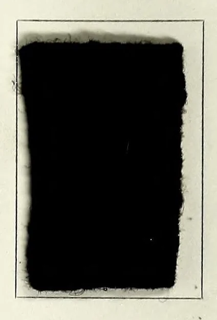 An illustration from The American dyer, (enlarged and revised) : a practical treatise on the coloring of wool, cotton, yarn and cloth, also, calico-printing ... containing seventy samples of wool, cotton yarn, and cloth; sample of black on raw cotton, colored at one operation; embracing, in all, over four hundred recipes, 1878, leaf 541