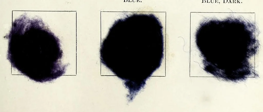 An illustration from The American dyer, (enlarged and revised) : a practical treatise on the coloring of wool, cotton, yarn and cloth, also, calico-printing ... containing seventy samples of wool, cotton yarn, and cloth; sample of black on raw cotton, colored at one operation; embracing, in all, over four hundred recipes, 1878, leaf 567