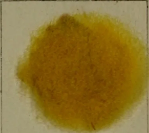 An illustration from The American dyer : a practical treatise on the coloring of wool, cotton, yarn & cloth.., 1873, leaf 166
