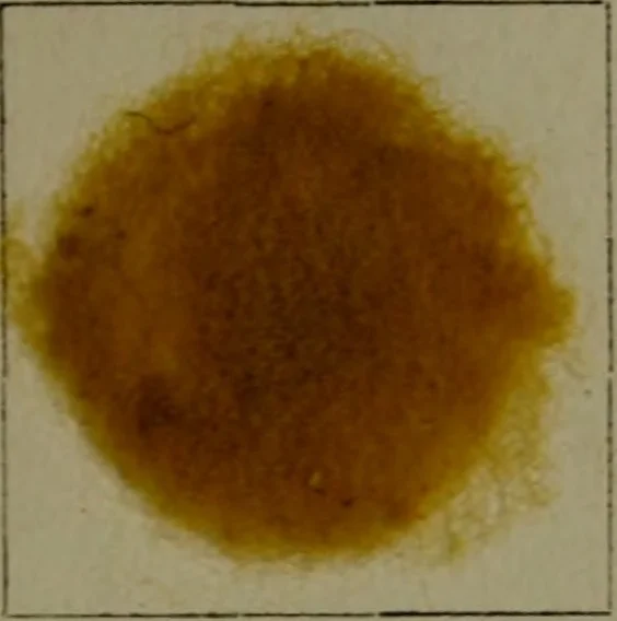 An illustration from The American dyer : a practical treatise on the coloring of wool, cotton, yarn & cloth.., 1873, leaf 166