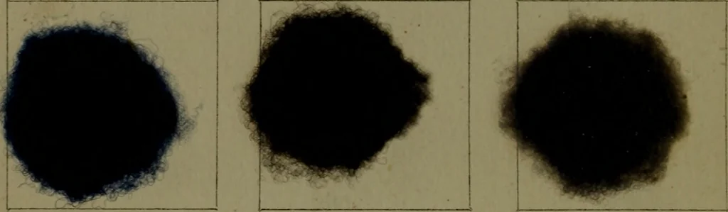 An illustration from The American dyer : a practical treatise on the coloring of wool, cotton, yarn & cloth.., 1873, leaf 167