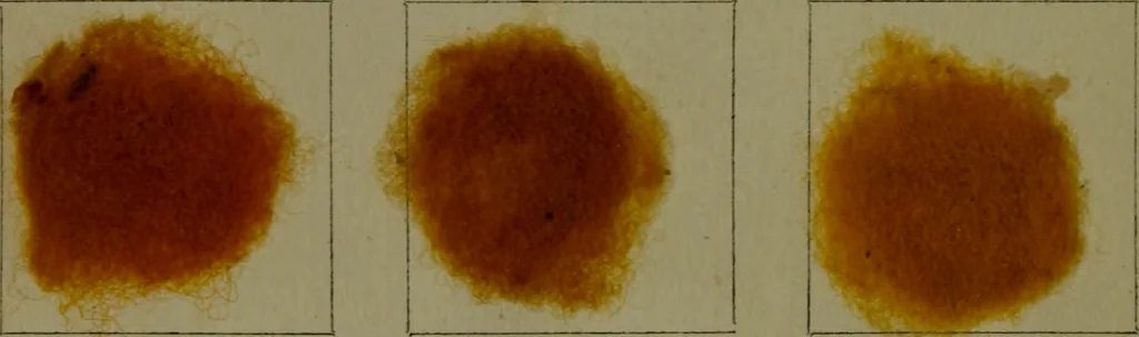 An illustration from The American dyer : a practical treatise on the coloring of wool, cotton, yarn & cloth.., 1873, leaf 167