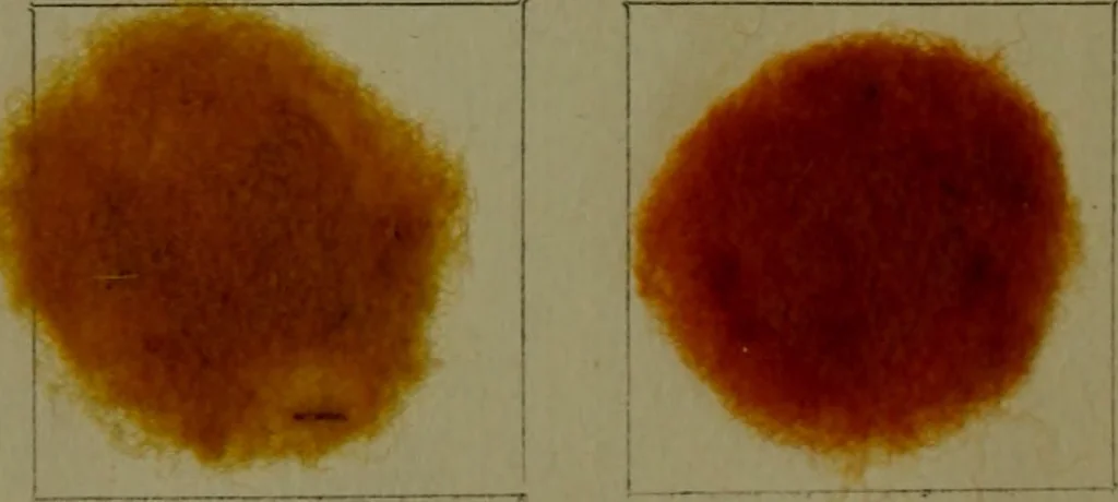 An illustration from The American dyer : a practical treatise on the coloring of wool, cotton, yarn & cloth.., 1873, leaf 167