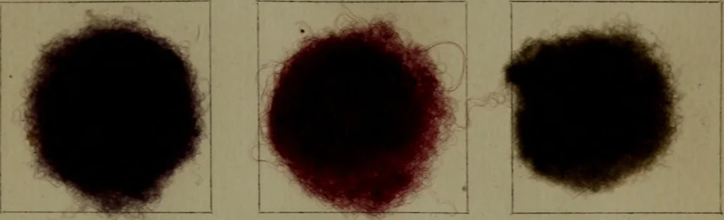 An illustration from The American dyer : a practical treatise on the coloring of wool, cotton, yarn & cloth.., 1873, leaf 170
