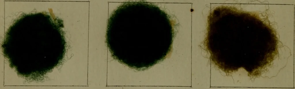 An illustration from The American dyer : a practical treatise on the coloring of wool, cotton, yarn & cloth.., 1873, leaf 171
