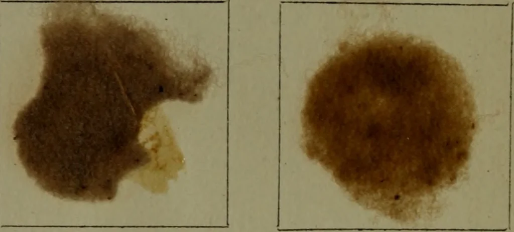 An illustration from The American dyer : a practical treatise on the coloring of wool, cotton, yarn & cloth.., 1873, leaf 171