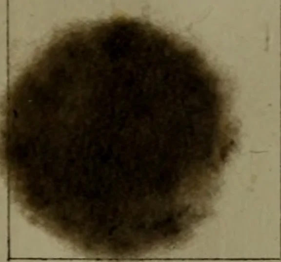 An illustration from The American dyer : a practical treatise on the coloring of wool, cotton, yarn & cloth.., 1873, leaf 174