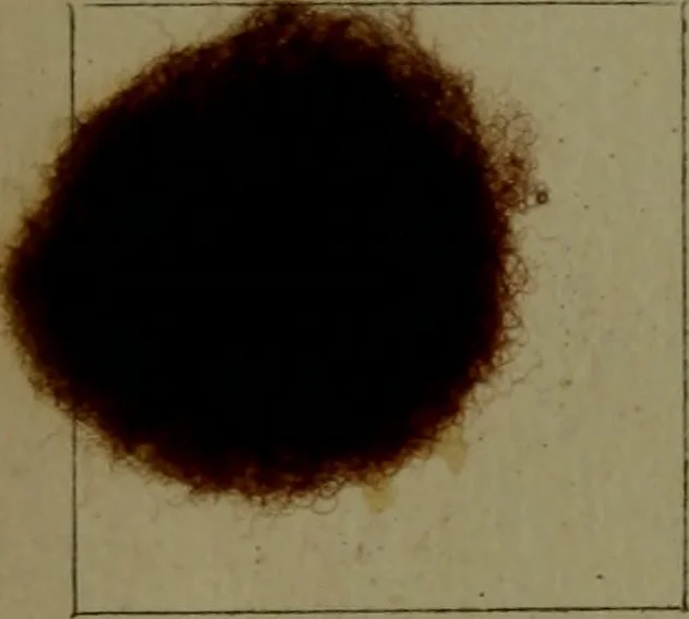An illustration from The American dyer : a practical treatise on the coloring of wool, cotton, yarn & cloth.., 1873, leaf 175