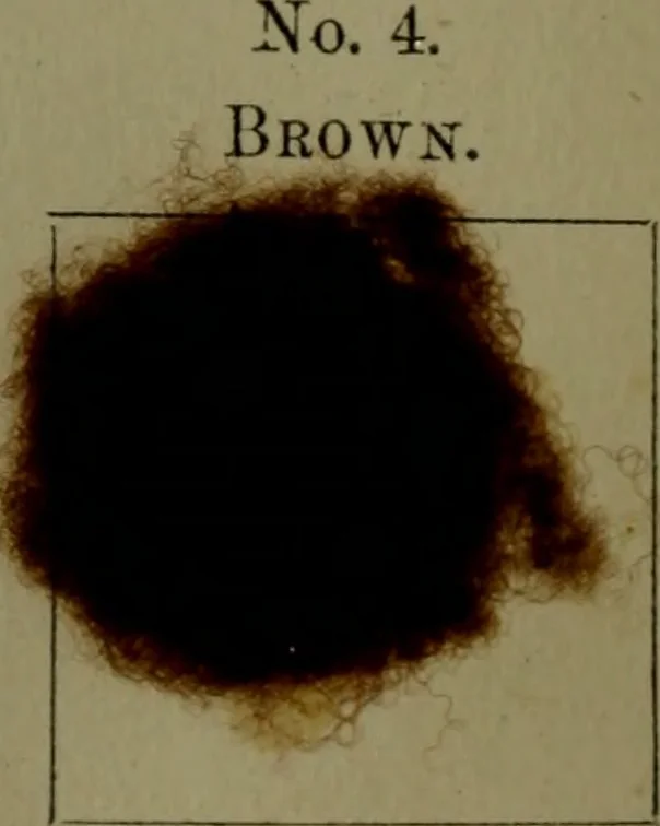 An illustration from The American dyer : a practical treatise on the coloring of wool, cotton, yarn & cloth.., 1873, leaf 175