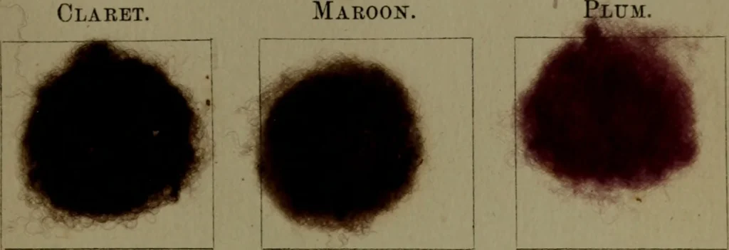 An illustration from The American dyer : a practical treatise on the coloring of wool, cotton, yarn & cloth.., 1873, leaf 178