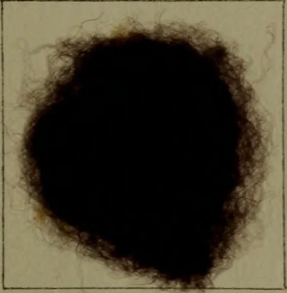 An illustration from The American dyer : a practical treatise on the coloring of wool, cotton, yarn & cloth.., 1873, leaf 178