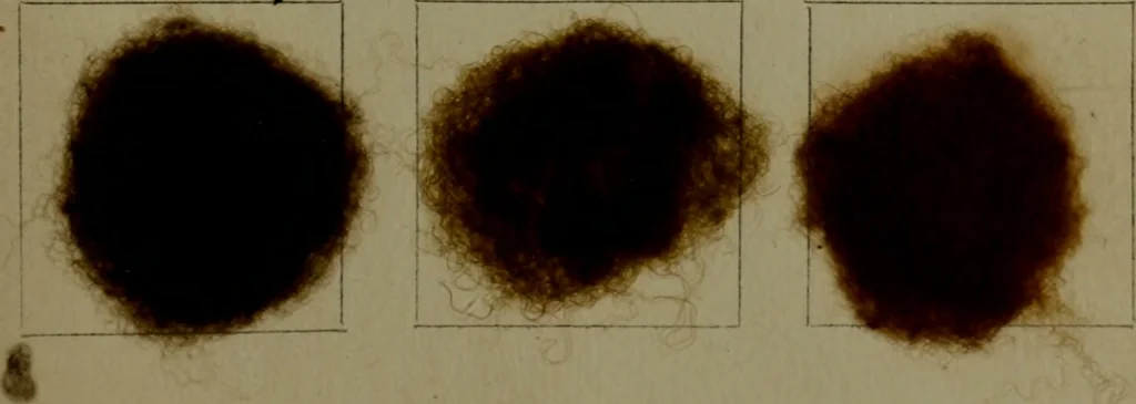 An illustration from The American dyer : a practical treatise on the coloring of wool, cotton, yarn & cloth.., 1873, leaf 178