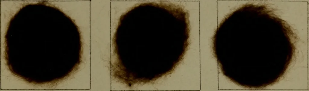 An illustration from The American dyer : a practical treatise on the coloring of wool, cotton, yarn & cloth.., 1873, leaf 212