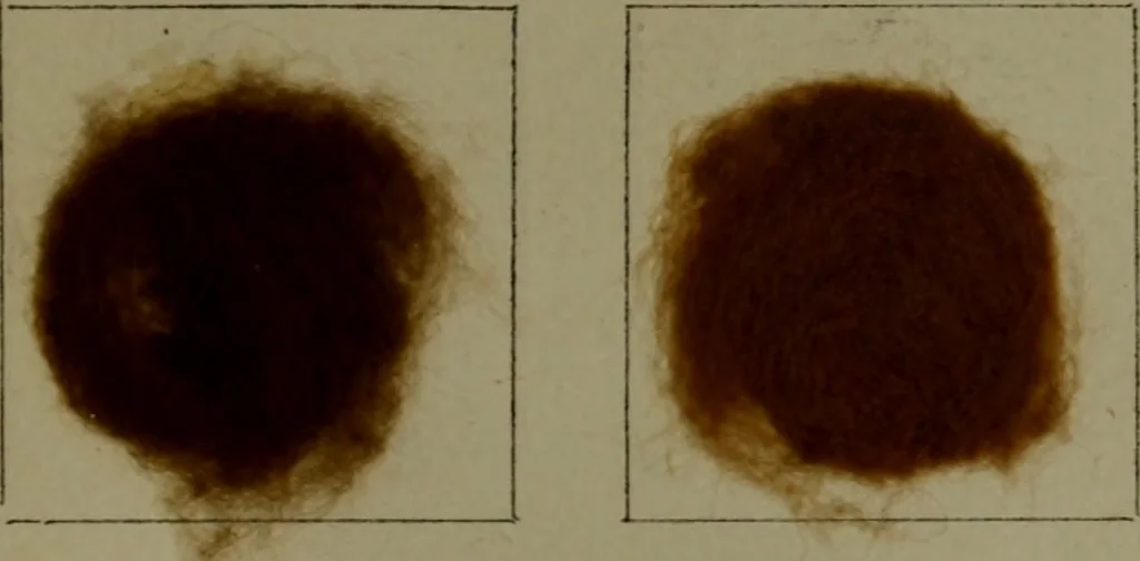 An illustration from The American dyer : a practical treatise on the coloring of wool, cotton, yarn & cloth.., 1873, leaf 212