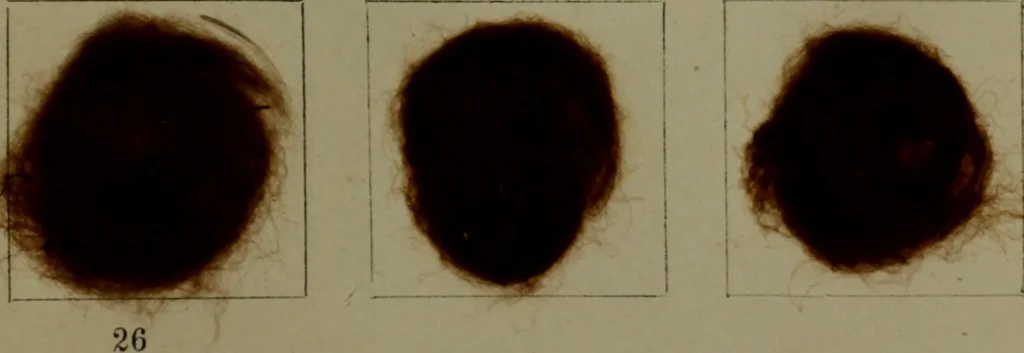 An illustration from The American dyer : a practical treatise on the coloring of wool, cotton, yarn & cloth.., 1873, leaf 212