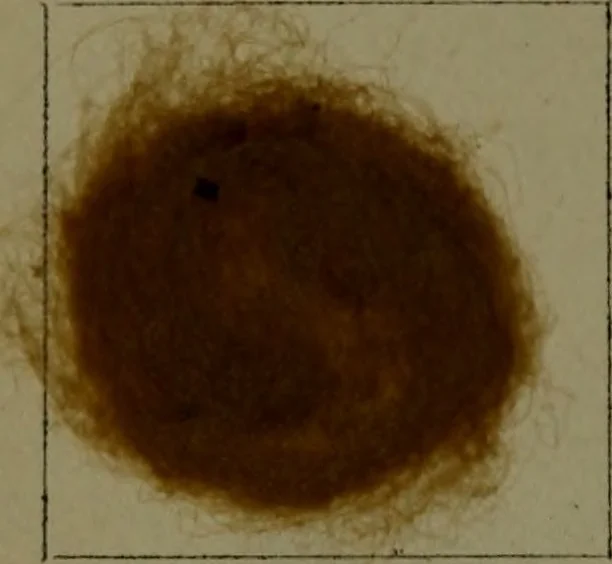 An illustration from The American dyer : a practical treatise on the coloring of wool, cotton, yarn & cloth.., 1873, leaf 213
