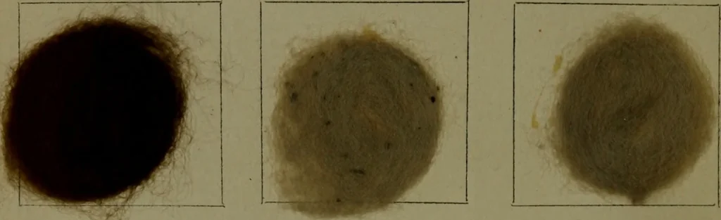 An illustration from The American dyer : a practical treatise on the coloring of wool, cotton, yarn & cloth.., 1873, leaf 213
