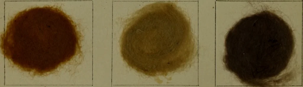 An illustration from The American dyer : a practical treatise on the coloring of wool, cotton, yarn & cloth.., 1873, leaf 213