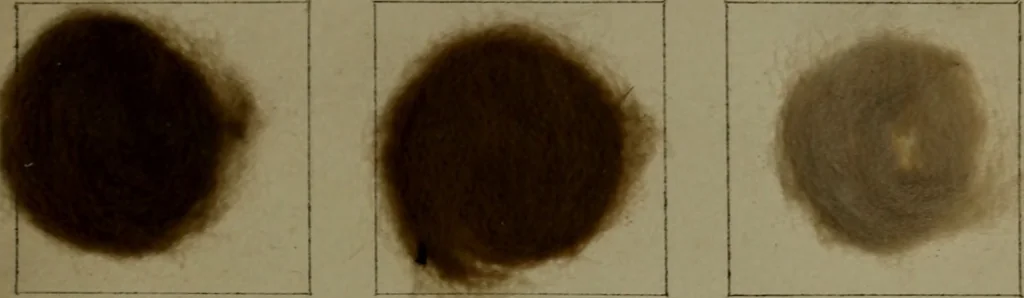 An illustration from The American dyer : a practical treatise on the coloring of wool, cotton, yarn & cloth.., 1873, leaf 216