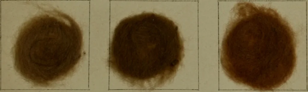 An illustration from The American dyer : a practical treatise on the coloring of wool, cotton, yarn & cloth.., 1873, leaf 216