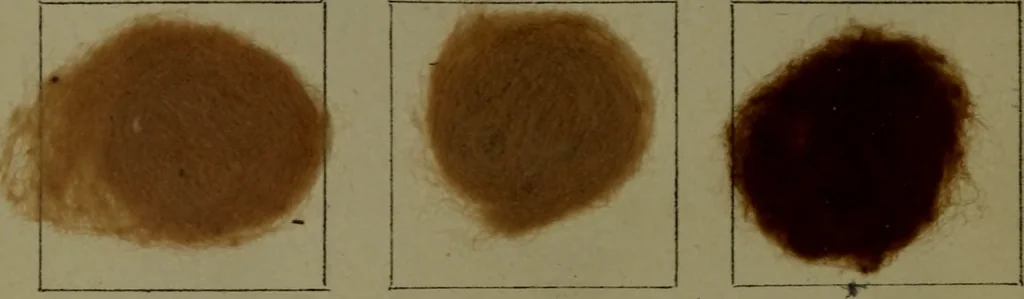 An illustration from The American dyer : a practical treatise on the coloring of wool, cotton, yarn & cloth.., 1873, leaf 217