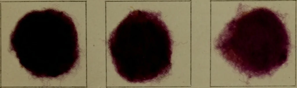 An illustration from The American dyer : a practical treatise on the coloring of wool, cotton, yarn & cloth.., 1873, leaf 234