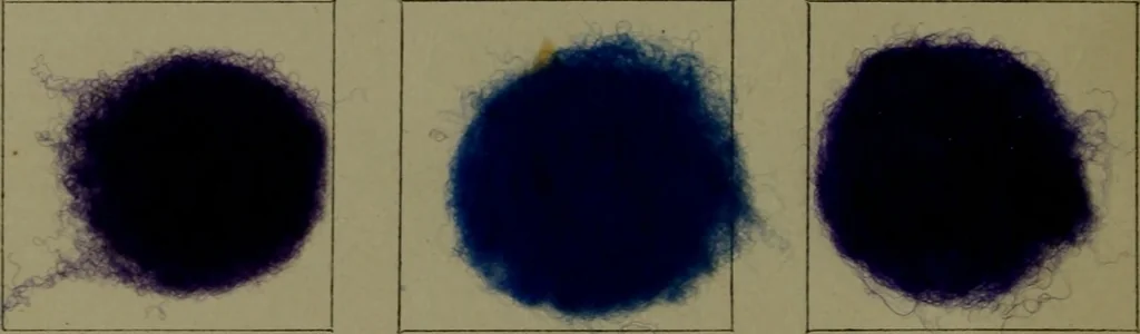 An illustration from The American dyer : a practical treatise on the coloring of wool, cotton, yarn & cloth.., 1873, leaf 235